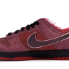 LJR Batch Nike SB Dunk Low Concepts Red Lobster 313170-661 LJR Batch Nike SB Dunk Low Concepts Red Lobster 313170-661