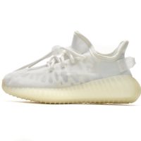 LJR Batch adidas Yeezy Boost 350 V2 Mono Light GW2872
