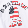 Bape-1872-0304