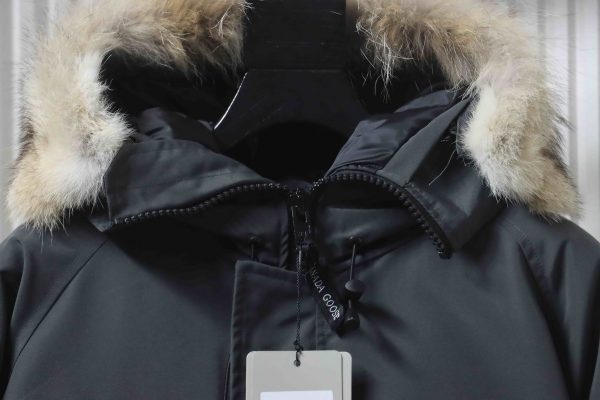 Canada Goose   Short   gray down jacket