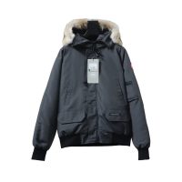 Canada Goose Short gray down jacket Canada Goose Short gray down jacket