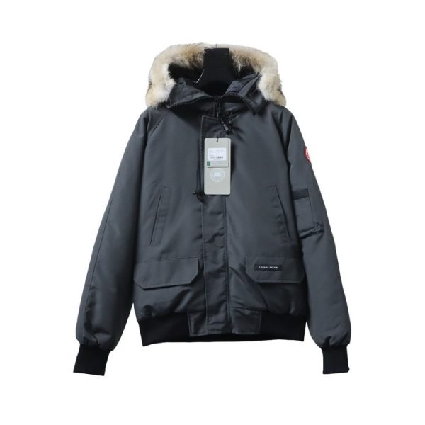 Canada Goose   Short   gray down jacket
