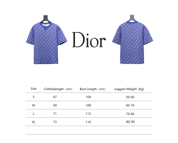 Dior Oblique Relaxed Fit T Shirt Terry Cotton Jersey Blue