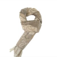 Loewe wool fringed scarf brown Loewe wool fringed scarf brown