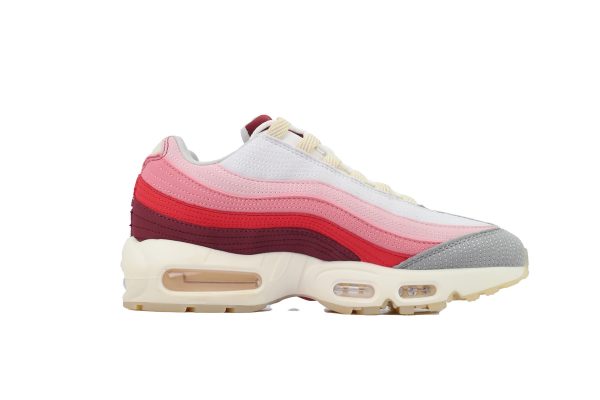 Nike Air Max 95 'Anatomy Of Air' DM0012-600