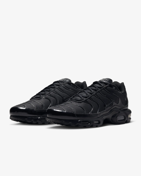 Nike Air Max Plus Triple Black  FB8479-001