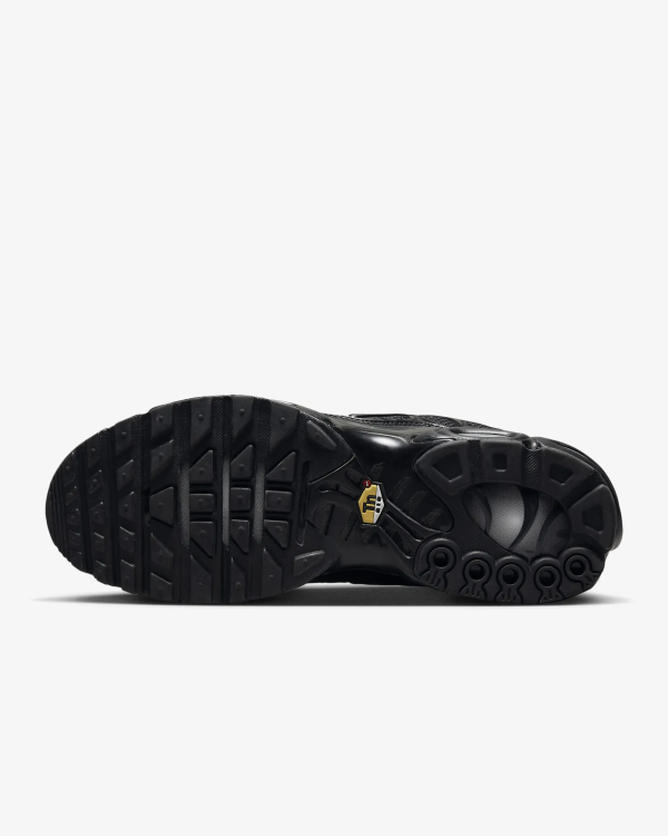 Nike Air Max Plus Triple Black  FB8479-001