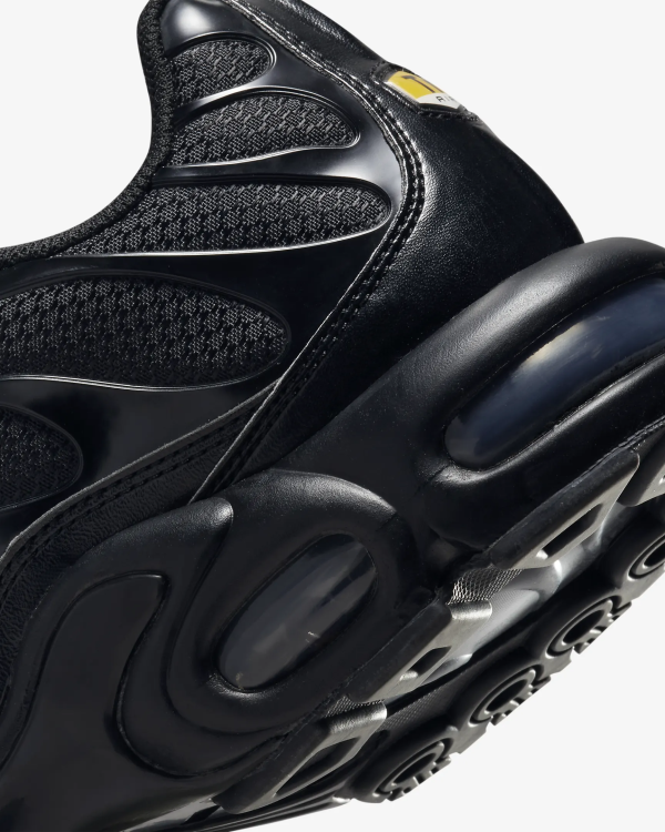 Nike Air Max Plus Triple Black  FB8479-001