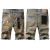 Purple Brand Denim Shorts PK5009