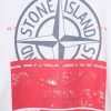 stone_island_t_shirt_pk09_1C0C9FFD8C310 Stone Island T Shirt PK09