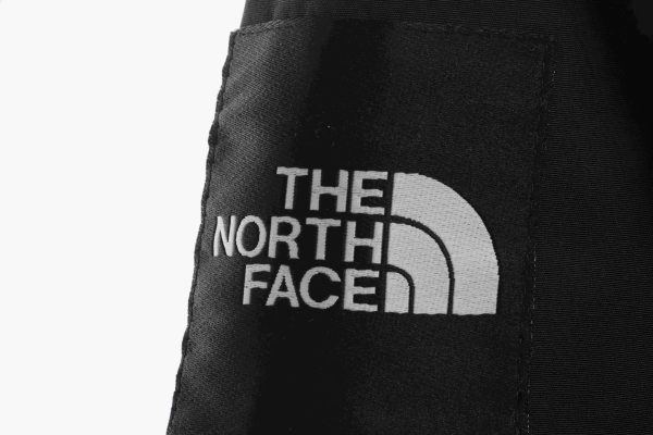 The North Face Japan Limited GORE-TEX polar Down Jacket