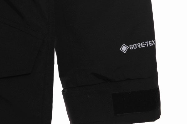 The North Face Japan Limited GORE-TEX polar Down Jacket
