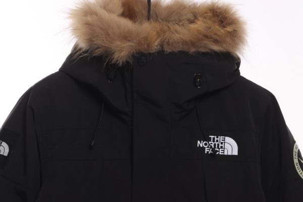 The North Face Japan Limited GORE-TEX polar Down Jacket